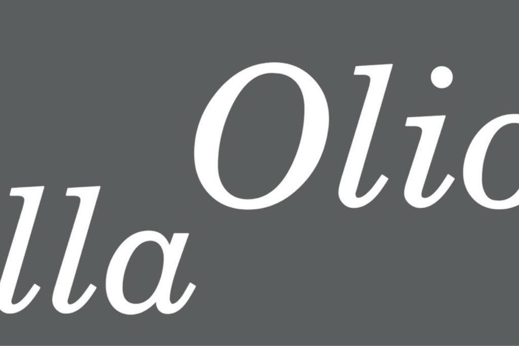 Olion Holiday home Afytos