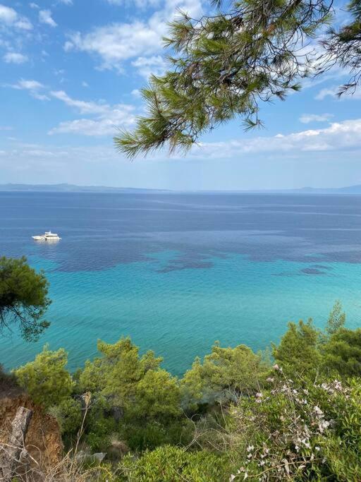 Olion Holiday home Afytos